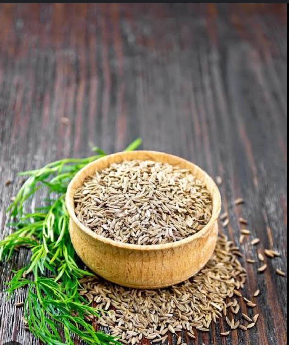 WhatsApp Image 2025 08 01 At 12.30.05 PM