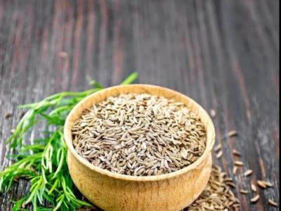 WhatsApp Image 2025 08 01 At 12.30.05 PM R9topa4tbshh1qio56ncy15j2z2zals10setwfehmg