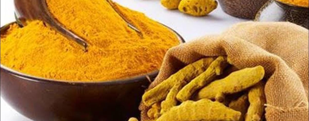 WhatsApp Image 2025 08 01 At 12.42.36 PM R9tr1xhujikyl1l2ut4pnj5qtnbiqa3415i072lljw