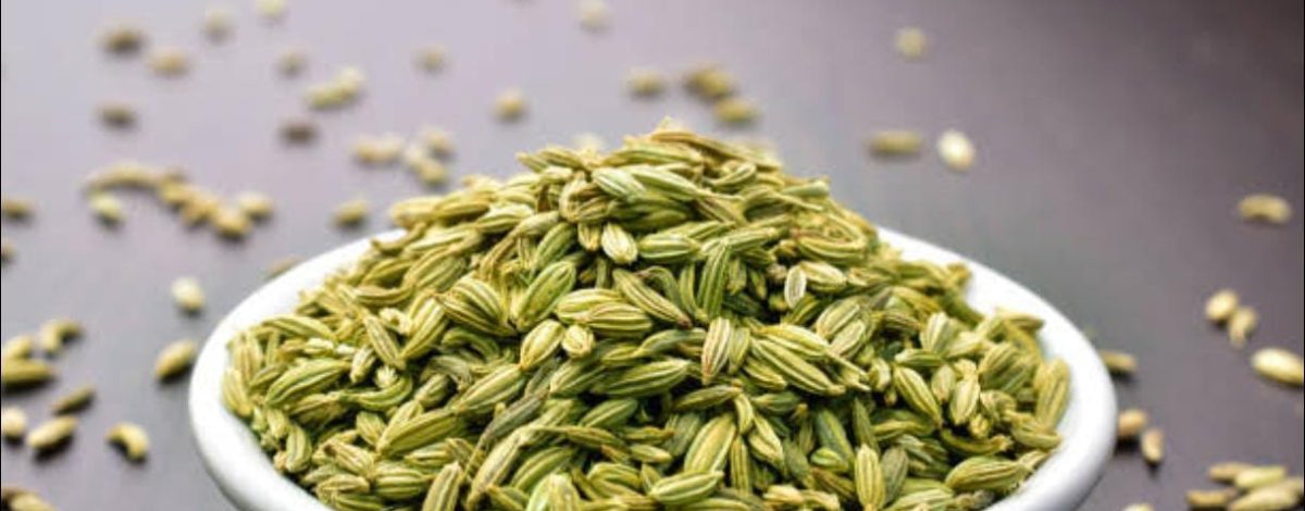 WhatsApp Image 2025 08 01 At 12.53.28 PM R9tpxawz5aysrslk38x7vs8ii3ke18srs2ehgiu6ho