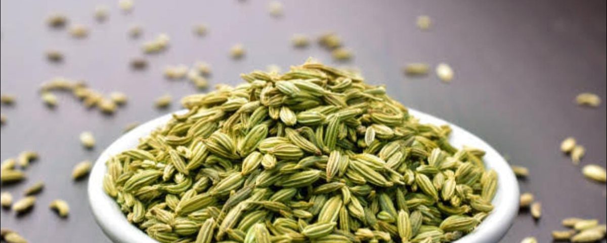 WhatsApp Image 2025 08 01 At 12.53.28 PM R9tpxawz5ayutgbziusgqhtijhet5tzw1ey9nthoe8