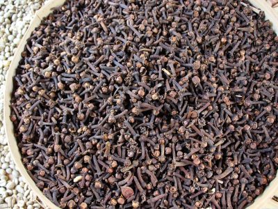 carnation, seeds, spices, cloves, carnation, carnation, cloves, cloves, cloves, cloves, cloves