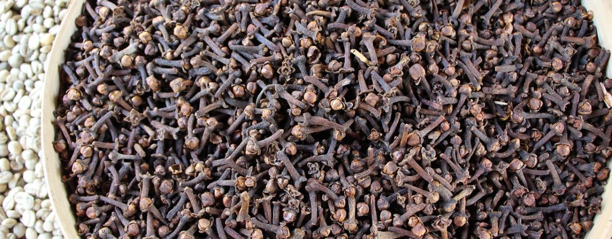 carnation, seeds, spices, cloves, carnation, carnation, cloves, cloves, cloves, cloves, cloves