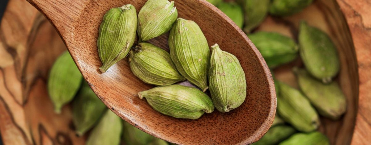Wooden spoon holding fresh green cardamom on rustic bowl. Ideal for culinary themes.