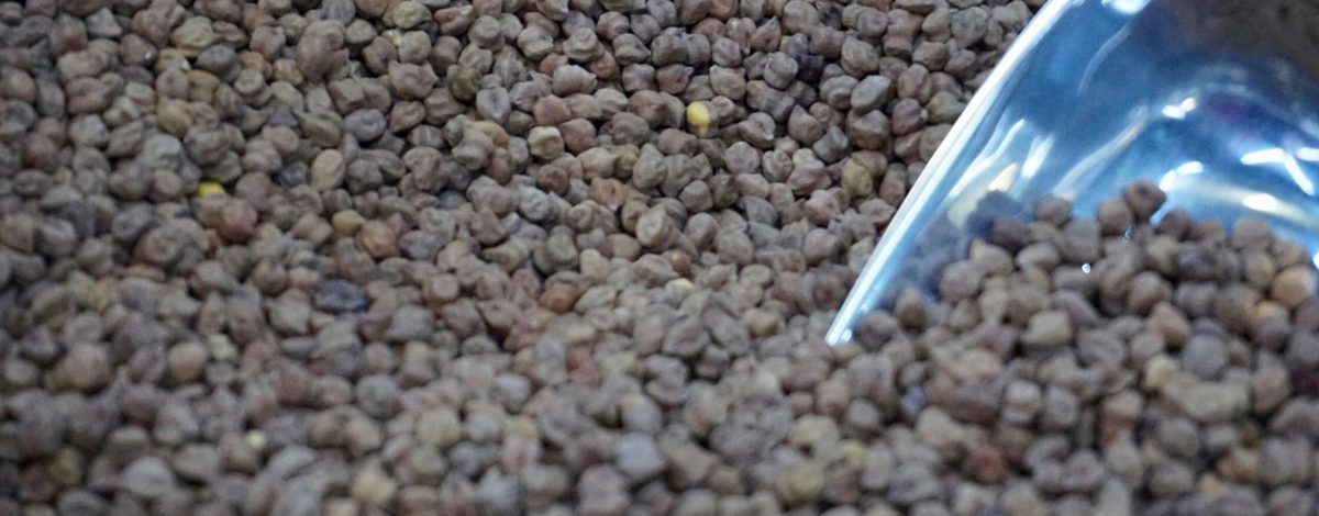 Close-up image of dry chickpeas with a metal scoop, perfect for cooking and culinary themes.