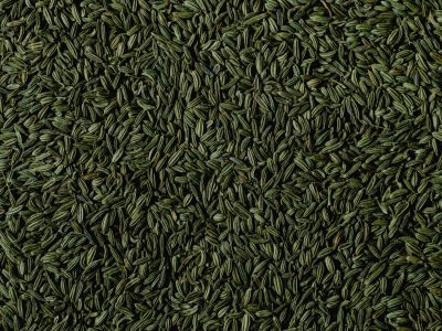 Detailed vertical shot of fennel seeds in natural lighting, showcasing texture.